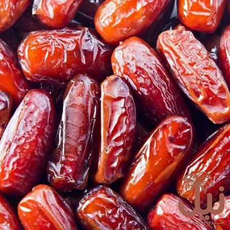 مراجع پخش خرما ربی کیلویی