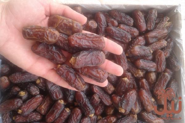 بهترین نوع خرما در طب سنتی کدام است؟