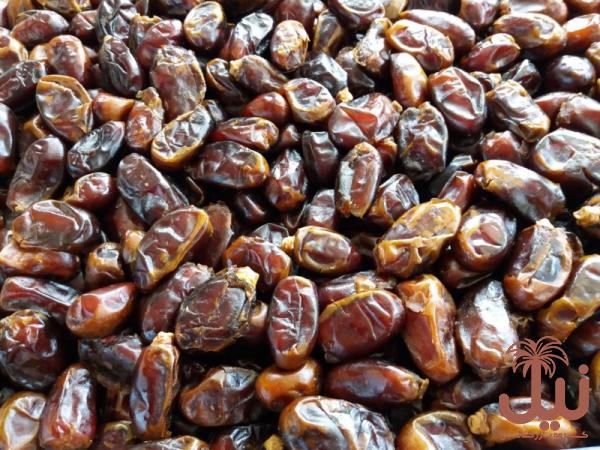 خرید خرما عمده