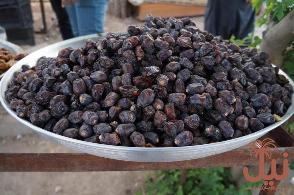 انواع خرما مضافتی جیرفت