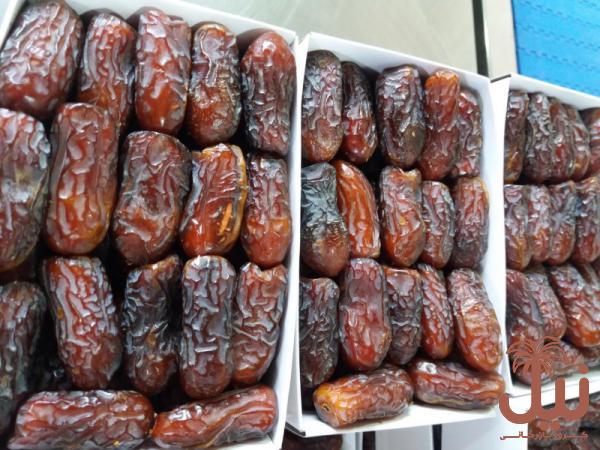 خرید خرما پیارم مرغوب با بسته بندی های اصولی از تولید کننده