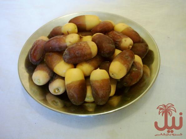نگهداری خرما زاهدی