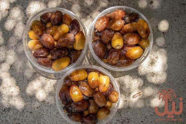 خرید اینترنتی خرمای خارک