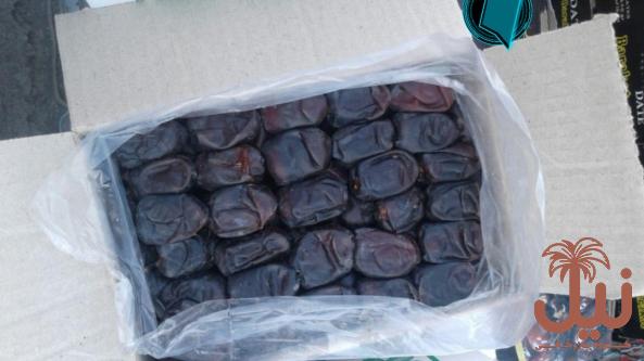 خرمای مضافتی دو ردیفه