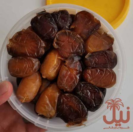 خرما عسلی بوشهر