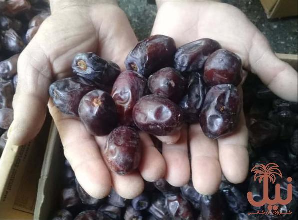 کالری یک عدد خرمای سیاه