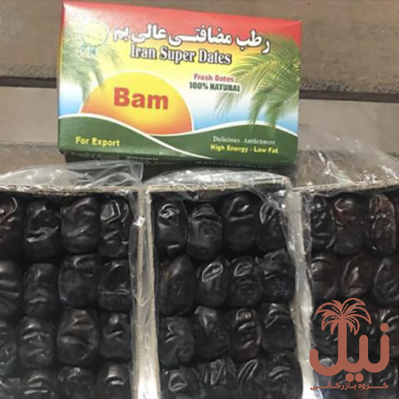 قیمت خرما مضافتی بم درجه یک