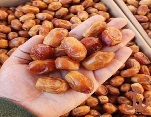 فروش خرما زاهدی