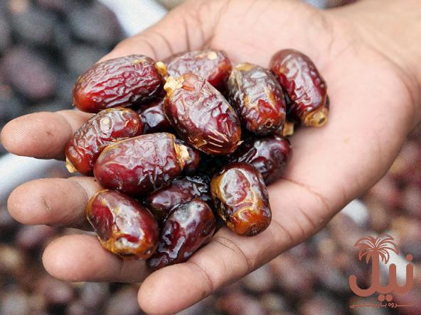 قیمت خرما استعمران در بازار ایران و پخش آن به صورت فله