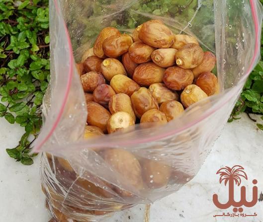 قیمت خرما خشک زاهدی هفت مغز درجه یک و ارزان از بازار