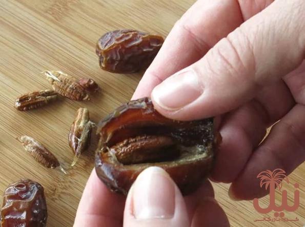 هسته خرما برای کلیه