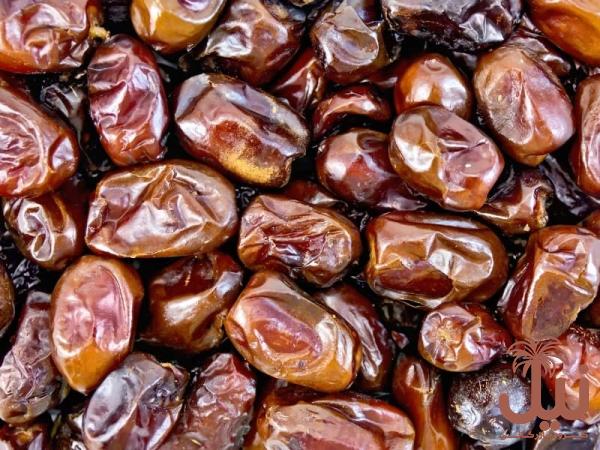 خرید خرما کبکاب درجه یک و خوشمزه با قیمت استثنایی
