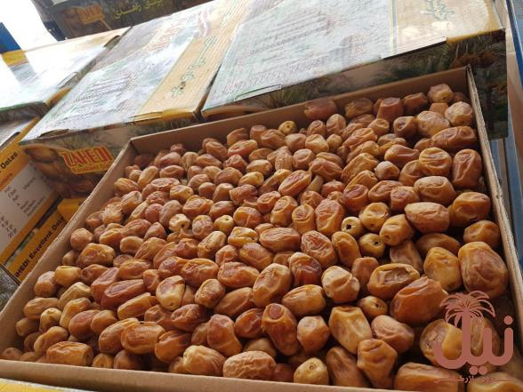 خرید خرما زاهدی عمده