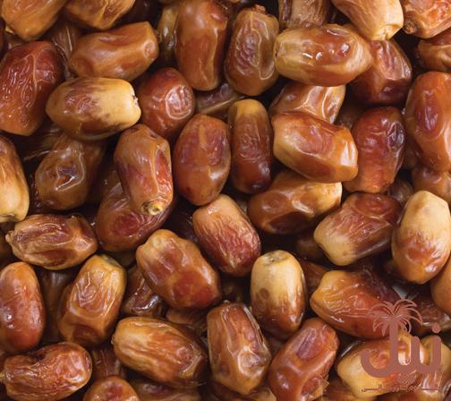خرما زاهدی برای دیابت