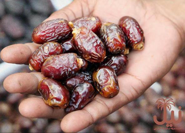 خواص خرما در زیبایی و تاثیرات شگفت آور آن در شفافیت پوست