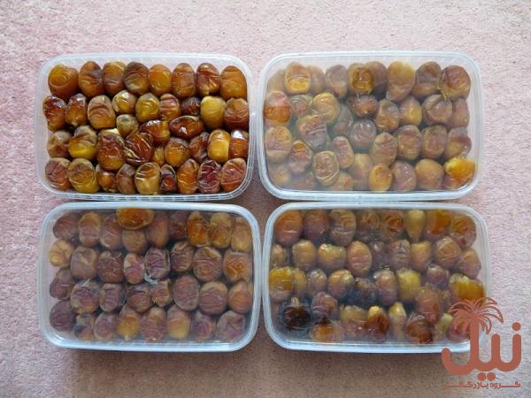 خرما خارک برحی در بسته بندی 500 گرمی با تخفیف 30 درصدی