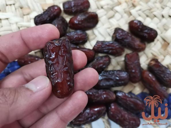 خرید خرما پیارم