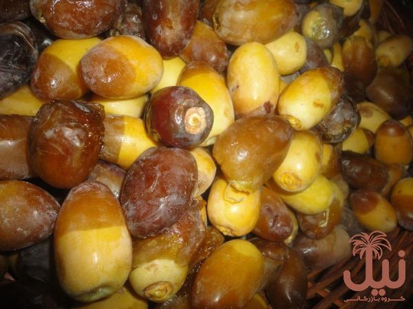 خرما خارک بوشهر