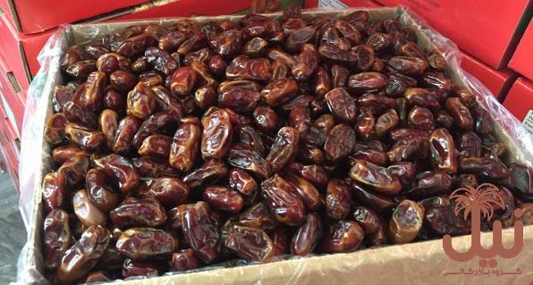 خرید خرما کبکاب با بسته بندی بهداشتی از بازار های داخلی