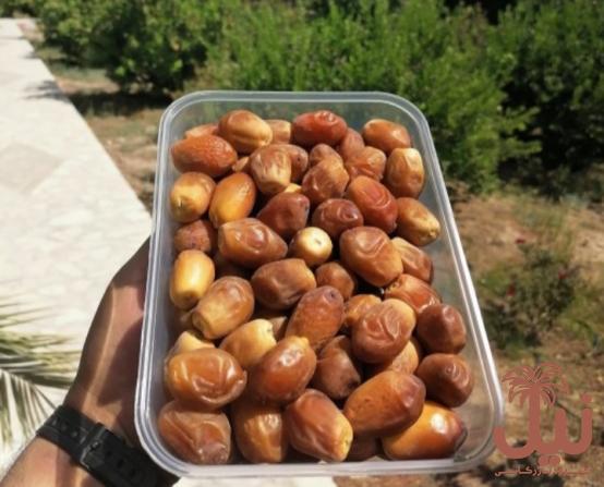 خرما زاهدی بسته بندی