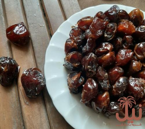 خرید خرما کبکاب تازه با قیمت مناسب به صورت عمده