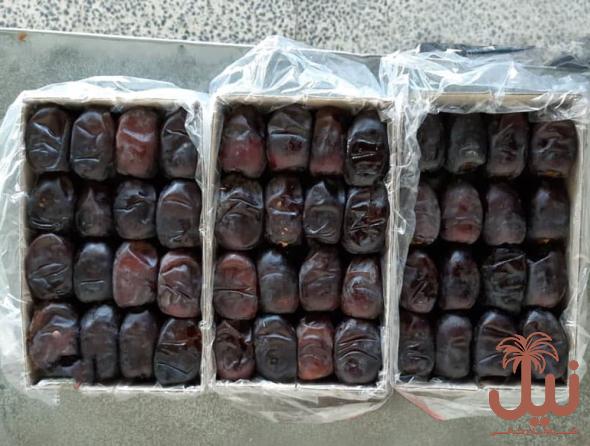 بهترین خرمای مضافتی ایران