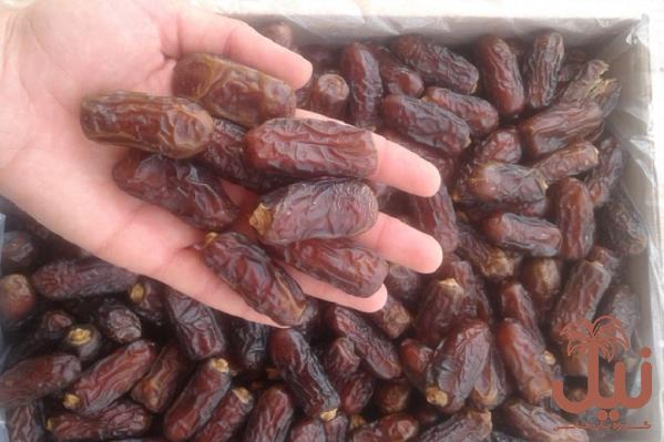 فروش خرمای پیارم صادراتی با قیمت عمده و مناسب