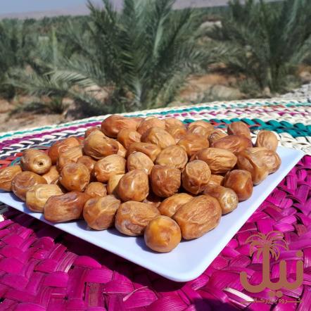 قیمت خرما زاهدی صادراتی درجه یک به صورت عمده در فروش ویژه