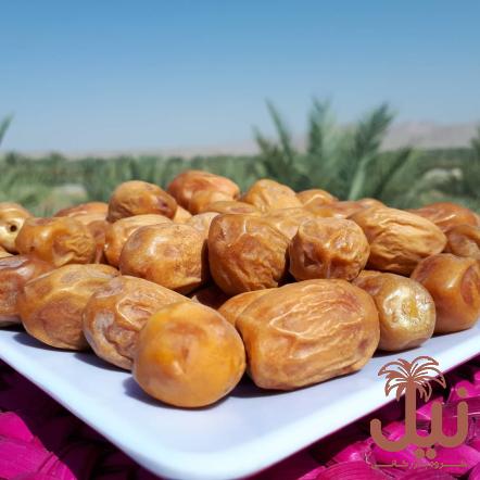 نحوه نگهداری خرما زاهدی خشک و بسته بندی آن در خانه برای مدت طولانی